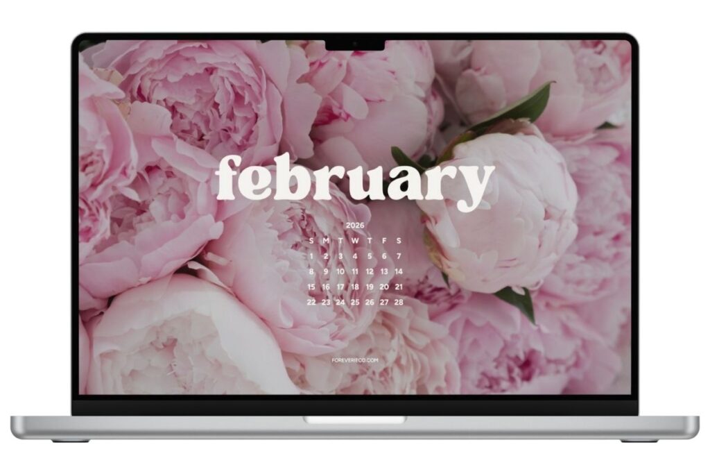 Laptop mockup displaying February 2026 desktop wallpaper with soft blush peonies background.
