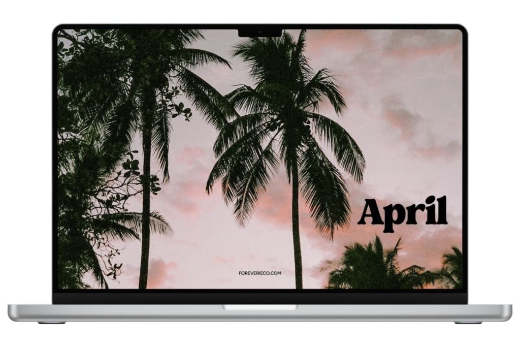 Laptop mockup displaying April 2026 desktop wallpaper with palm trees and soft sunset sky
