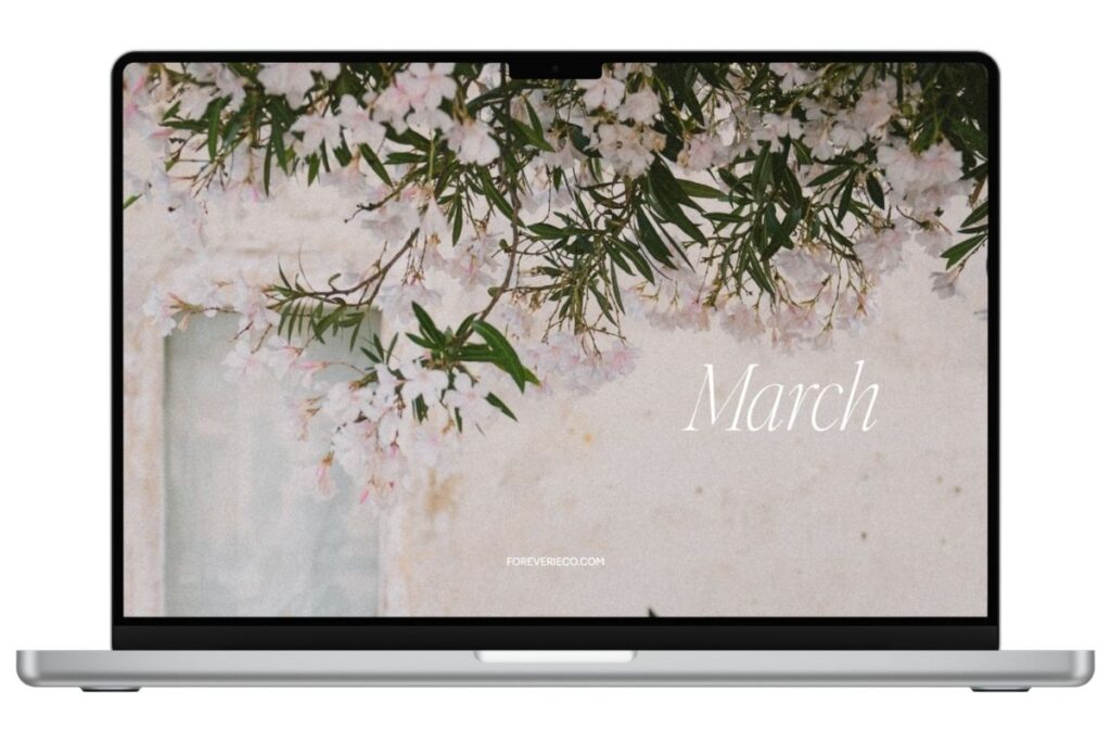 Laptop mockup displaying March 2026 desktop wallpaper with soft cherry blossoms and neutral textured background