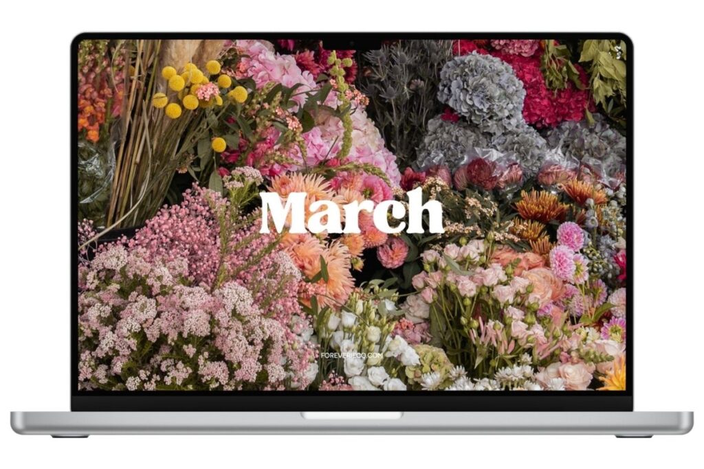 Laptop mockup displaying March 2026 desktop wallpaper with vibrant flower market arrangement
