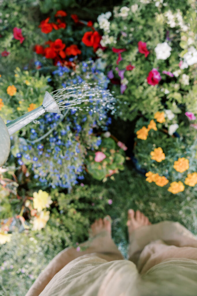 Person watering colorful flowers in a blooming garden