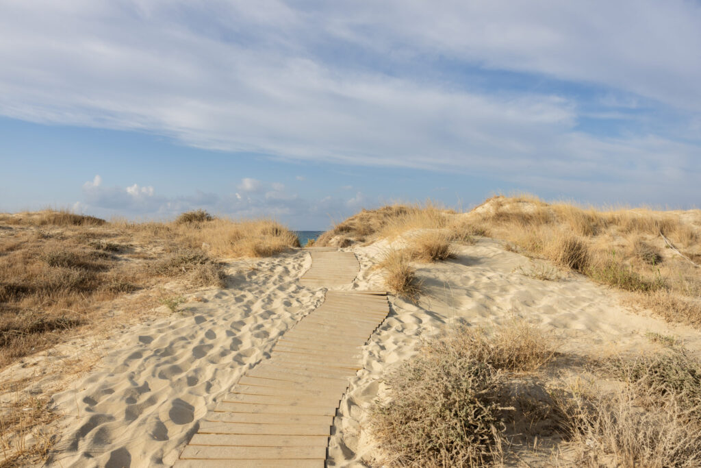 Wooden beach path leading through sand dunes toward the ocean